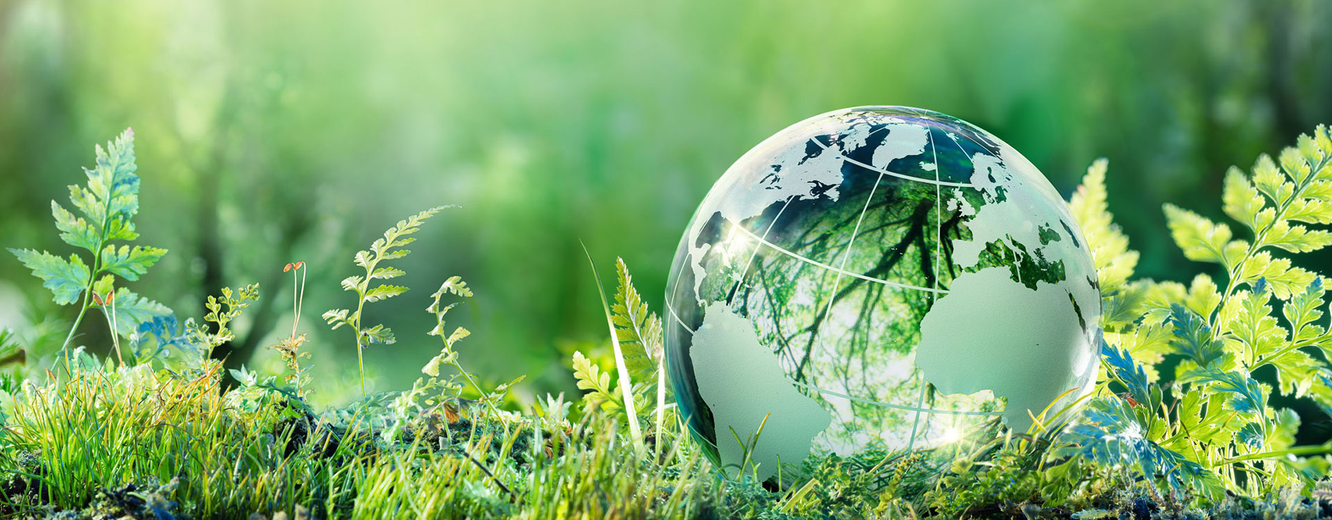 Susbainabilità degli abrasivi FUJISTAR