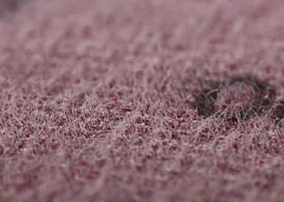 Perché scegliere dischi abrasivi da FUJISTAR?